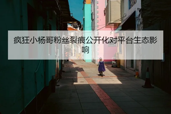疯狂小杨哥粉丝裂痕公开化对平台生态影响